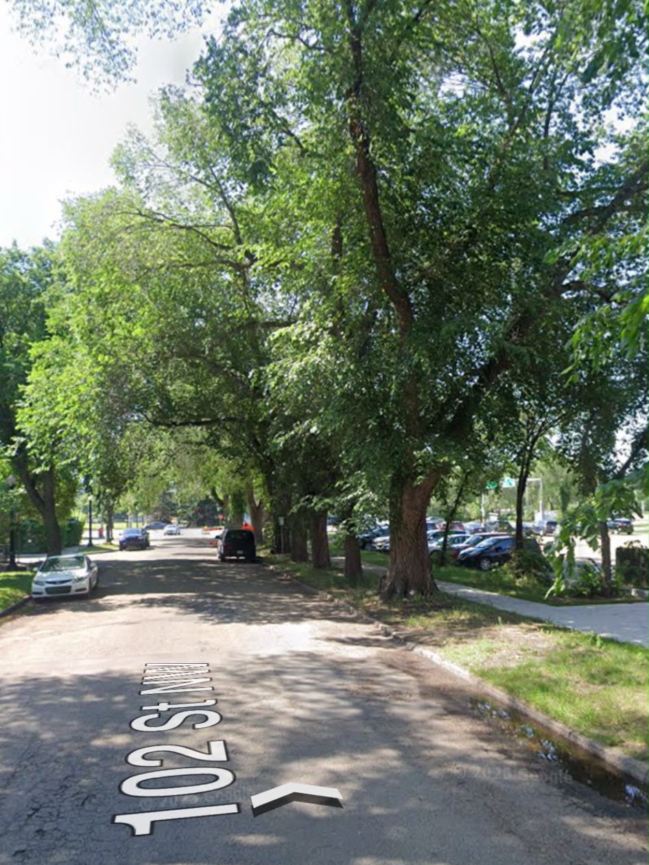 102 Street NW in Edmonton in 2025, lined with full, mature elm trees