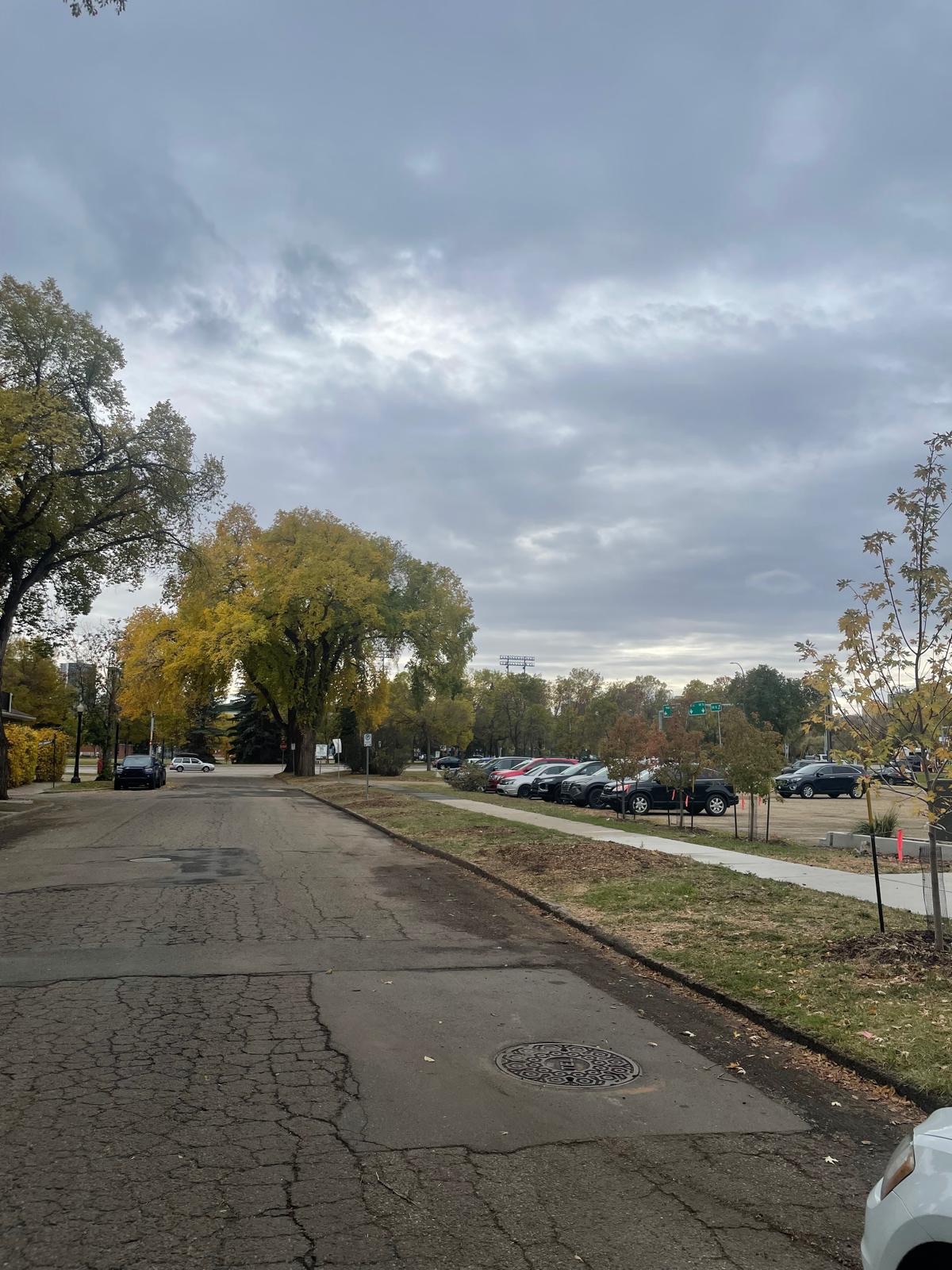 The same block of 102 Street NW in 2026 with the boulevard elms gone and open sky overhead